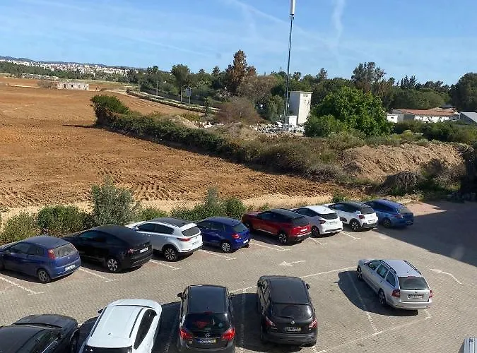 Perfect Summer Daire